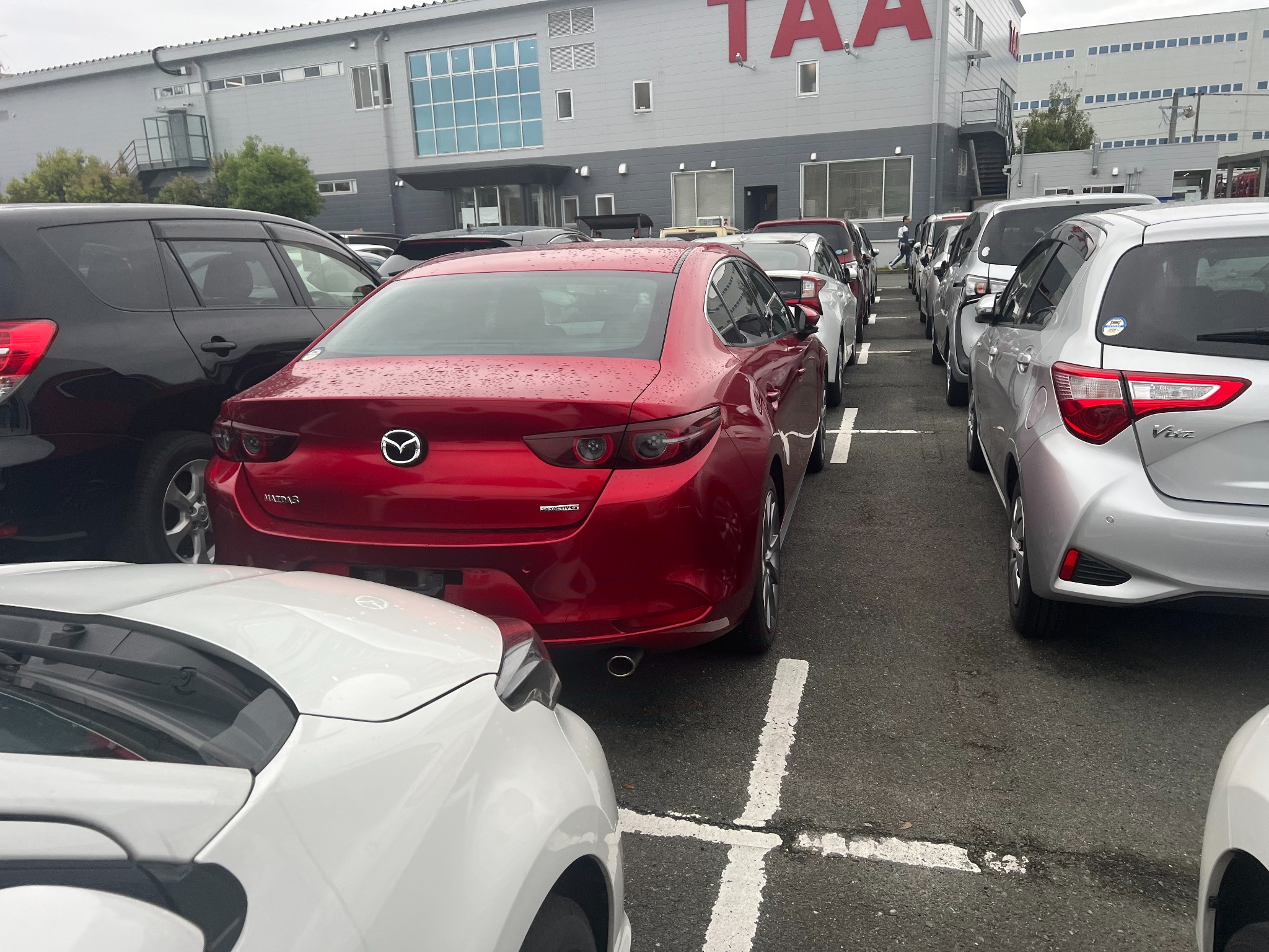 TAA拍卖场